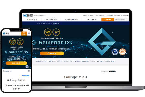 Galileopt DX 給与大将